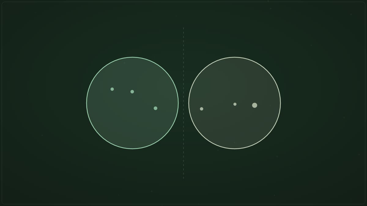 Big Five vs DISC: What's the Difference?