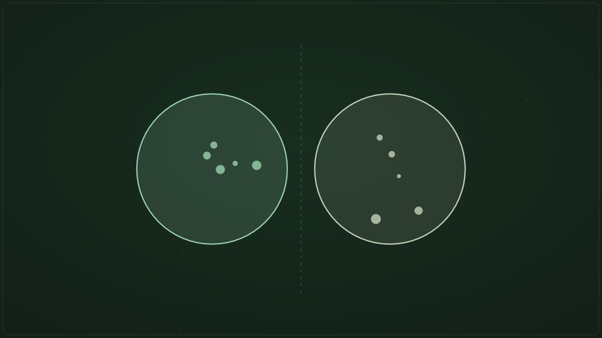Dark Triad vs Big Five: How They Relate
